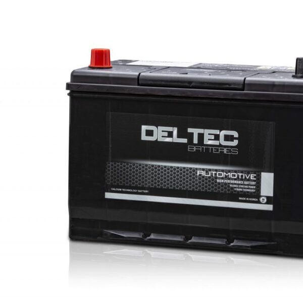 Deltec N70ZZ MF Battery