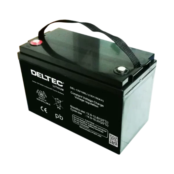 DEL-12V100Li