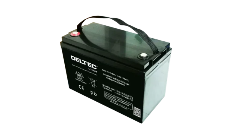DEL-12V100Li